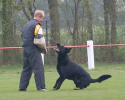 lucky lippstadt 03.jpg